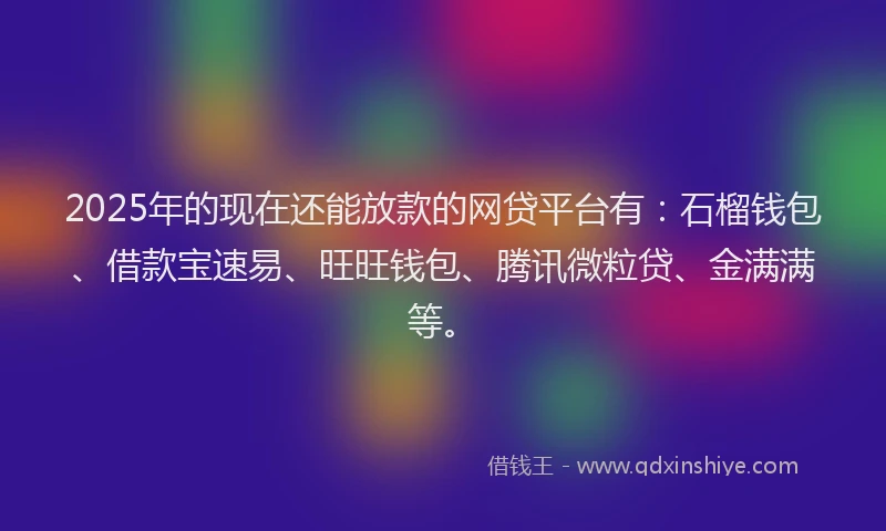 2025年的现在还能放款的网贷平台有：石榴钱包、借款宝速易、旺旺钱包、腾讯微粒贷、金满满等。
