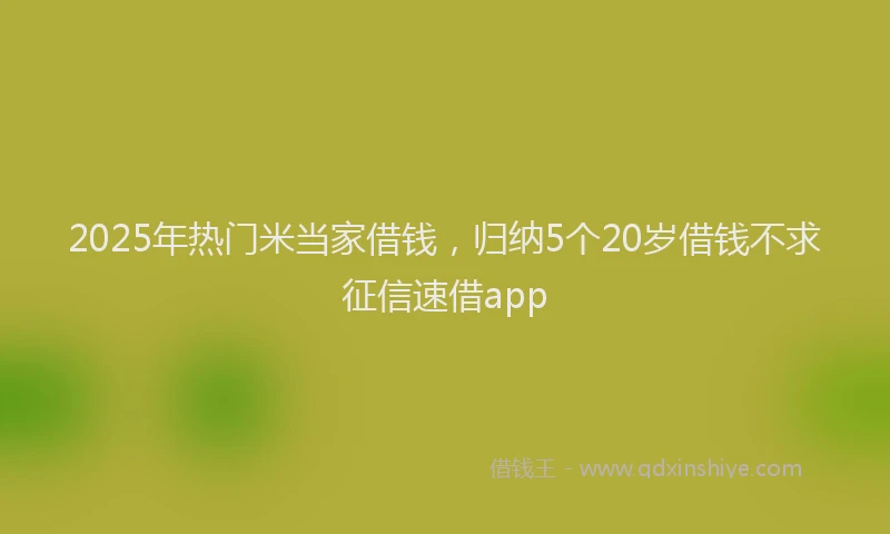 2025年热门米当家借钱，归纳5个20岁借钱不求征信速借app