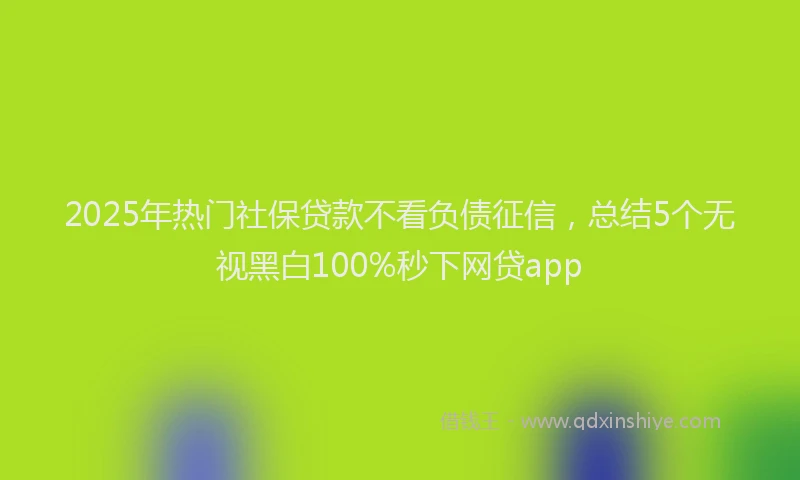 2025年热门社保贷款不看负债征信，总结5个无视黑白100%秒下网贷app