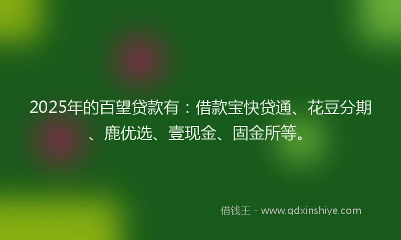 2025年的百望贷款有：借款宝快贷通、花豆分期、鹿优选、壹现金、固金所等。
