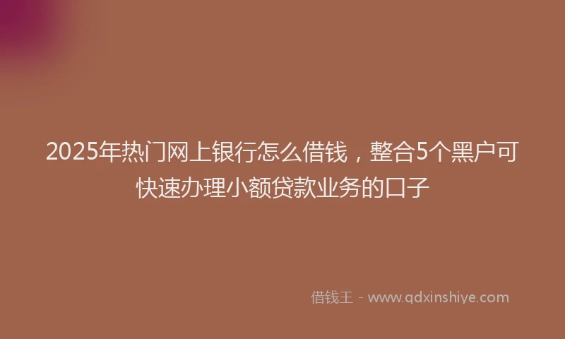 2025年热门网上银行怎么借钱，整合5个黑户可快速办理小额贷款业务的口子