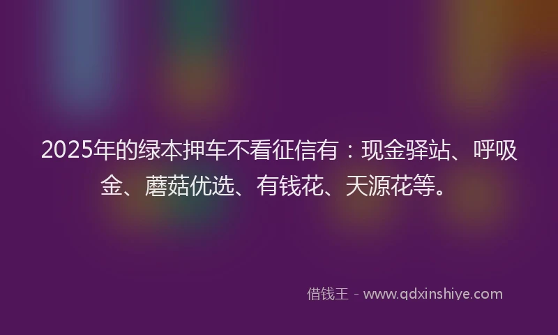 2025年的绿本押车不看征信有:现金驿站、呼吸金、蘑菇优选、有钱花、天源花等。