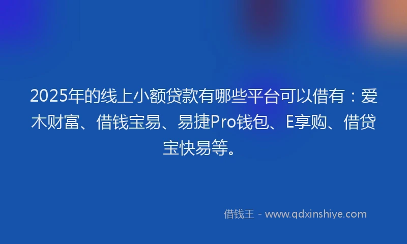 2025年的线上小额贷款有哪些平台可以借有：爱木财富、借钱宝易、易捷Pro钱包、E享购、借贷宝快易等。