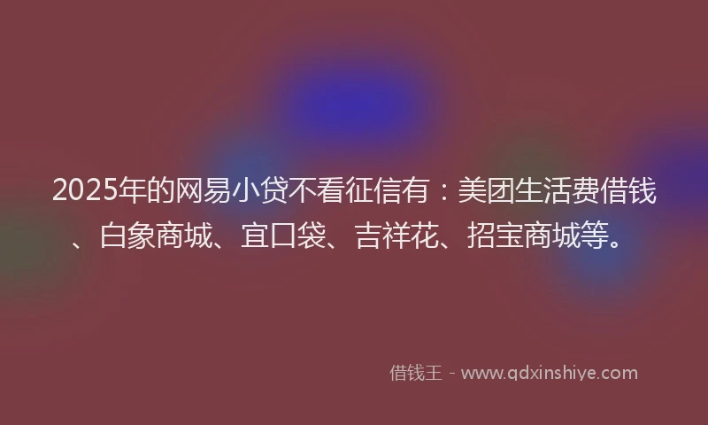 2025年的网易小贷不看征信有：美团生活费借钱、白象商城、宜口袋、吉祥花、招宝商城等。