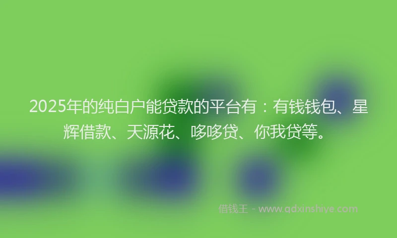 2025年的纯白户能贷款的平台有：有钱钱包、星辉借款、天源花、哆哆贷、你我贷等。