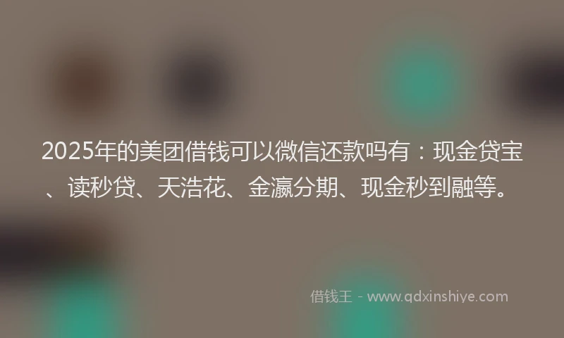 2025年的美团借钱可以微信还款吗有：现金贷宝、读秒贷、天浩花、金瀛分期、现金秒到融等。