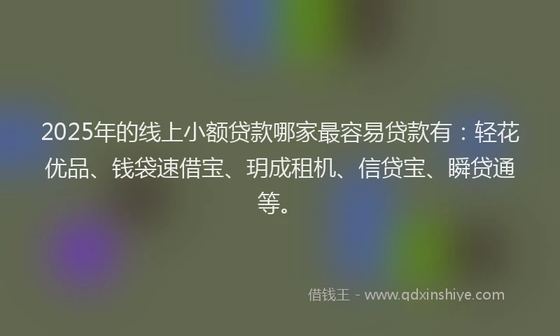 2025年的线上小额贷款哪家最容易贷款有：轻花优品、钱袋速借宝、玥成租机、信贷宝、瞬贷通等。