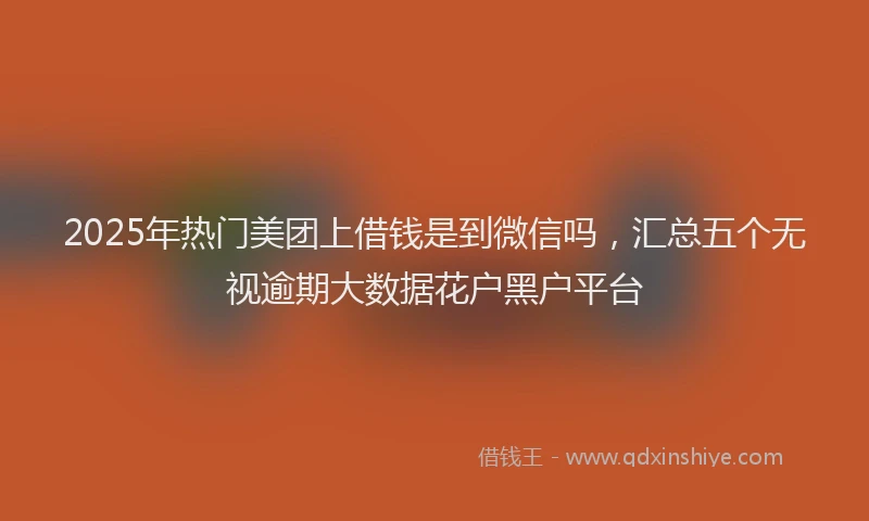 2025年热门美团上借钱是到微信吗，汇总五个无视逾期大数据花户黑户平台
