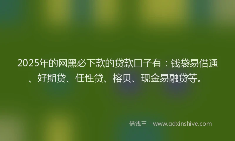 2025年的网黑必下款的贷款口子有：钱袋易借通、好期贷、任性贷、榕贝、现金易融贷等。