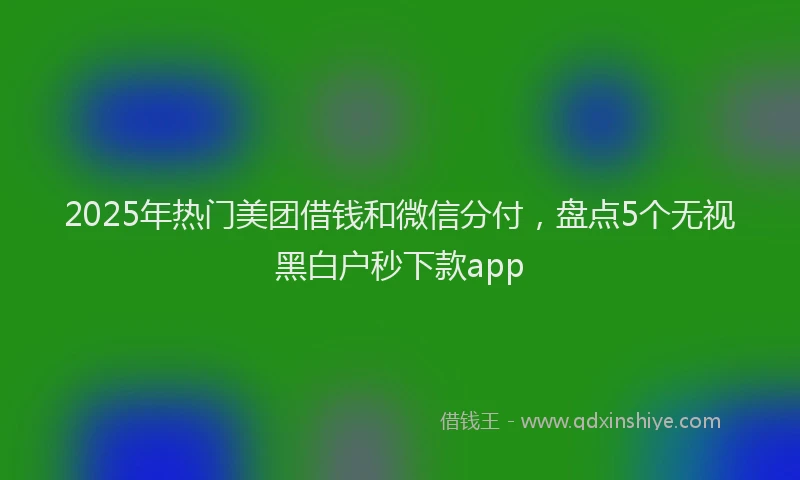 2025年热门美团借钱和微信分付,盘点5个无视黑白户秒下款app