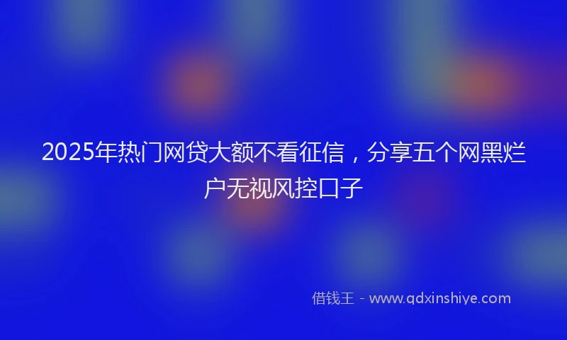 2025年热门网贷大额不看征信，分享五个网黑烂户无视风控口子