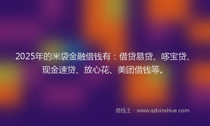 2025年的米袋金融借钱有：借贷易贷、哆宝贷、现金速贷、放心花、美团借钱等。