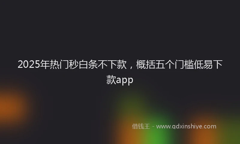 2025年热门秒白条不下款,概括五个门槛低易下款app