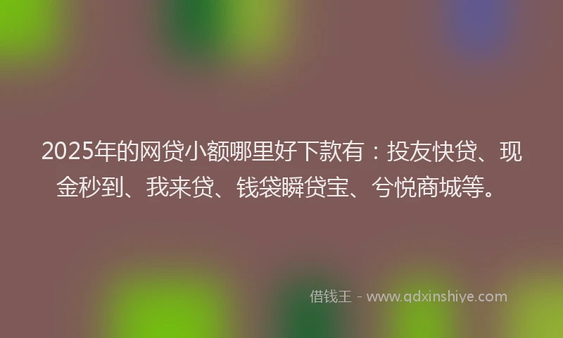 2025年的网贷小额哪里好下款有：投友快贷、现金秒到、我来贷、钱袋瞬贷宝、兮悦商城等。