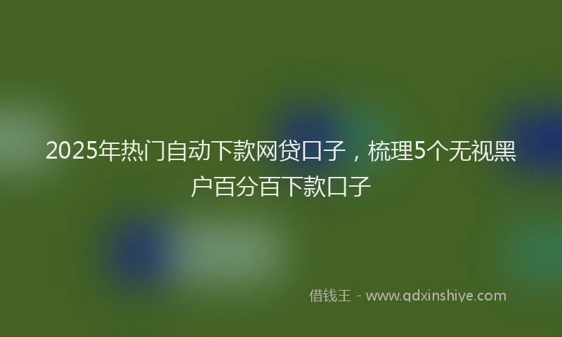 2025年热门自动下款网贷口子，梳理5个无视黑户百分百下款口子