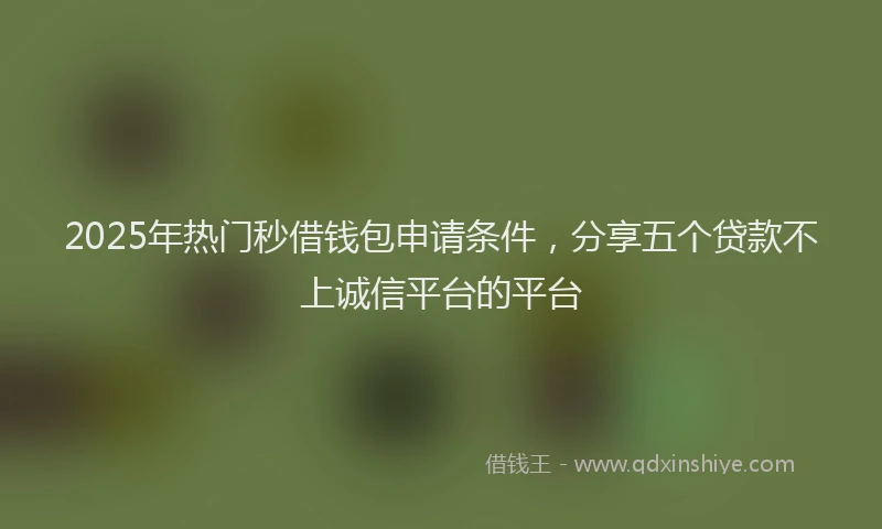 2025年热门秒借钱包申请条件，分享五个贷款不上诚信平台的平台