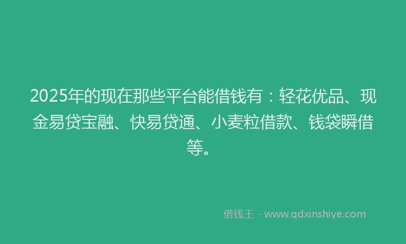2025年的现在那些平台能借钱有：轻花优品、现金易贷宝融、快易贷通、小麦粒借款、钱袋瞬借等。