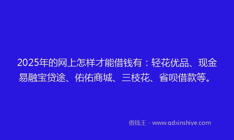 2025年的网上怎样才能借钱有：轻花优品、现金易融宝贷途、佑佑商城、三枝花、省呗借款等。