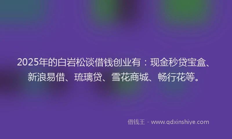 2025年的白岩松谈借钱创业有：现金秒贷宝盒、新浪易借、琉璃贷、雪花商城、畅行花等。