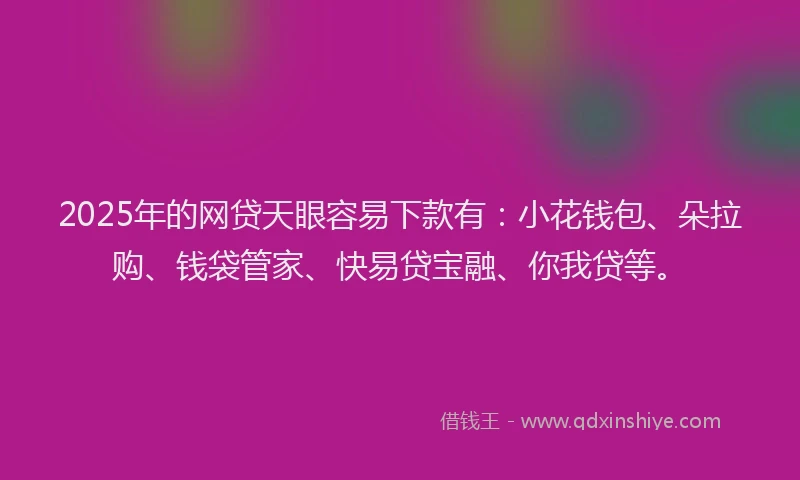 2025年的网贷天眼容易下款有：小花钱包、朵拉购、钱袋管家、快易贷宝融、你我贷等。