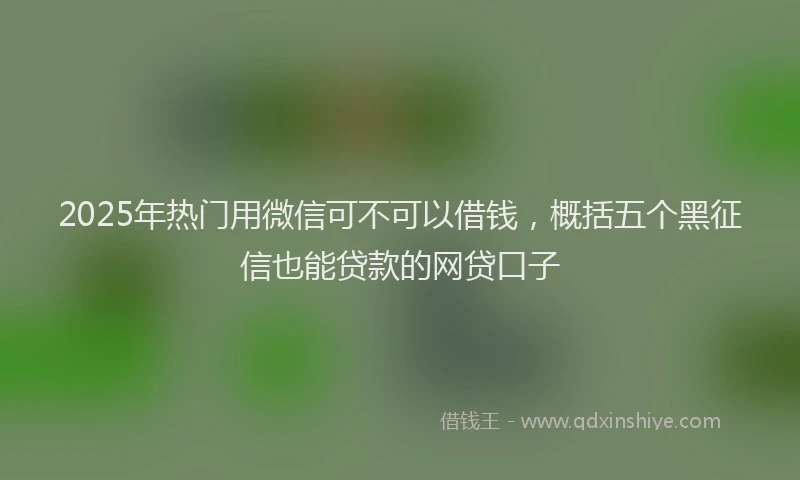 2025年热门用微信可不可以借钱，概括五个黑征信也能贷款的网贷口子