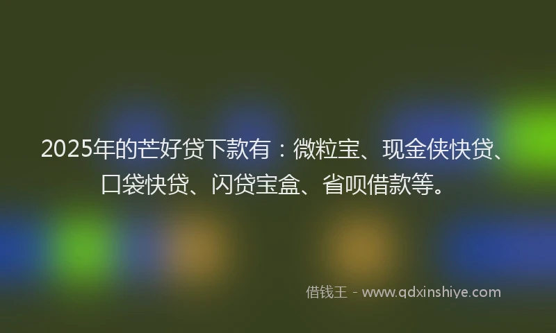 2025年的芒好贷下款有：微粒宝、现金侠快贷、口袋快贷、闪贷宝盒、省呗借款等。