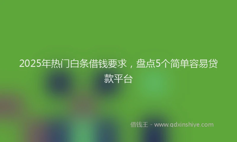2025年热门白条借钱要求，盘点5个简单容易贷款平台