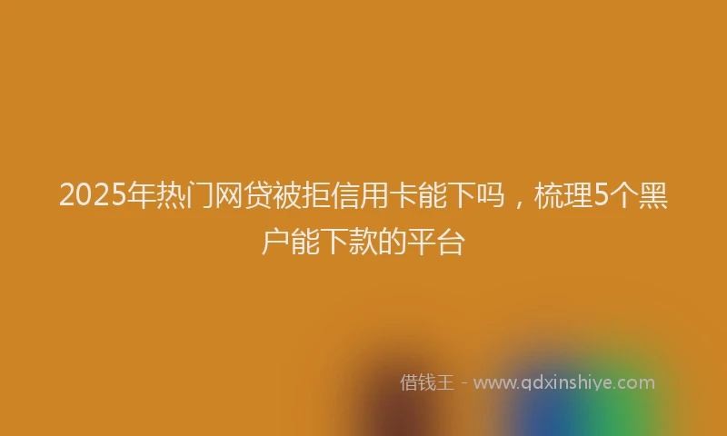 2025年热门网贷被拒信用卡能下吗,梳理5个黑户能下款的平台