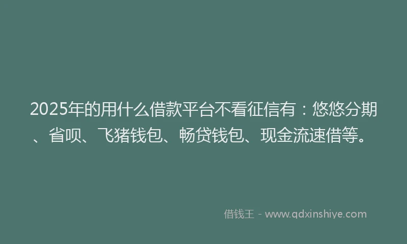 2025年的用什么借款平台不看征信有：悠悠分期、省呗、飞猪钱包、畅贷钱包、现金流速借等。