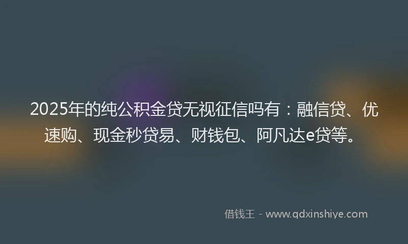 2025年的纯公积金贷无视征信吗有：融信贷、优速购、现金秒贷易、财钱包、阿凡达e贷等。