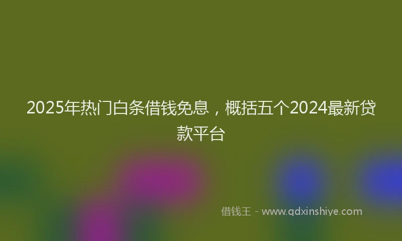 2025年热门白条借钱免息，概括五个2024最新贷款平台