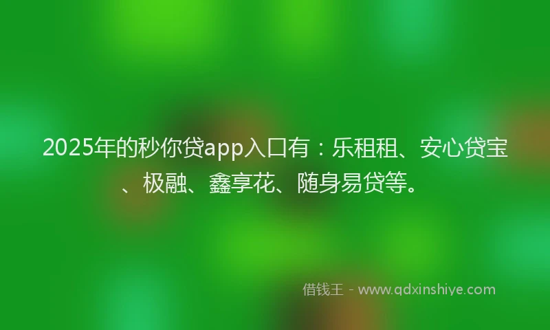 2025年的秒你贷app入口有：乐租租、安心贷宝、极融、鑫享花、随身易贷等。