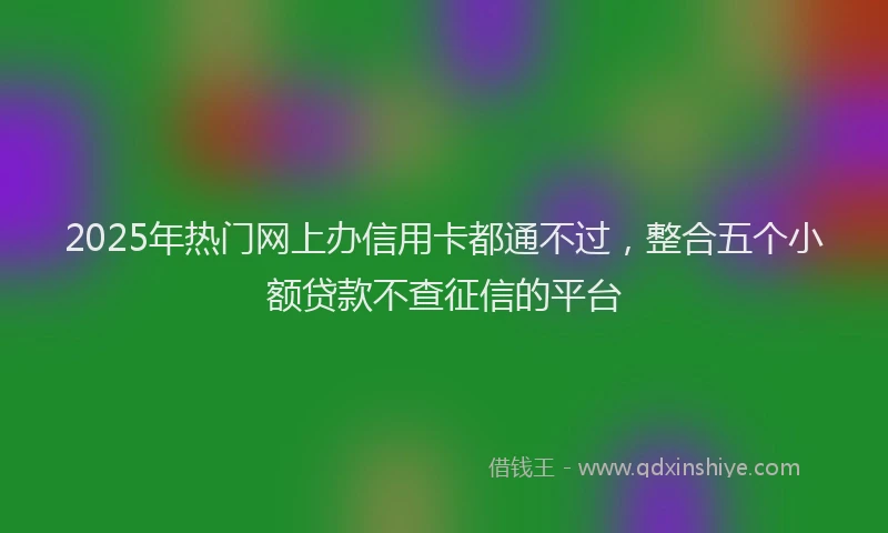 2025年热门网上办信用卡都通不过，整合五个小额贷款不查征信的平台