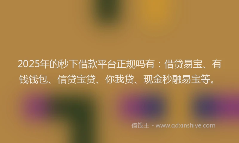 2025年的秒下借款平台正规吗有:借贷易宝、有钱钱包、信贷宝贷、你我贷、现金秒融易宝等。