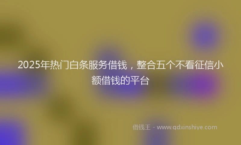 2025年热门白条服务借钱，整合五个不看征信小额借钱的平台