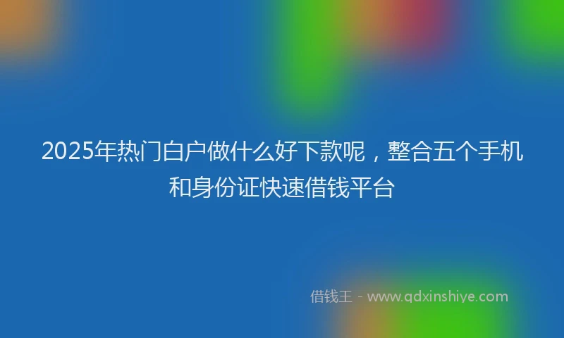 2025年热门白户做什么好下款呢，整合五个手机和身份证快速借钱平台