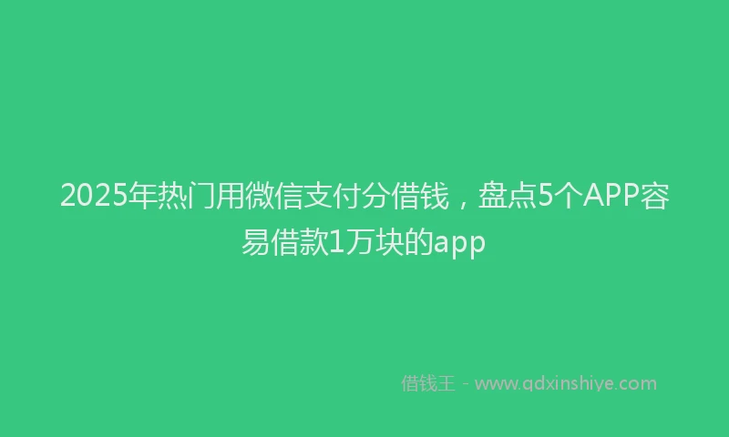 2025年热门用微信支付分借钱,盘点5个APP容易借款1万块的app