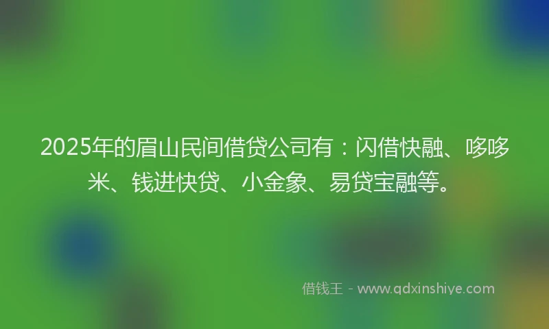 2025年的眉山民间借贷公司有：闪借快融、哆哆米、钱进快贷、小金象、易贷宝融等。