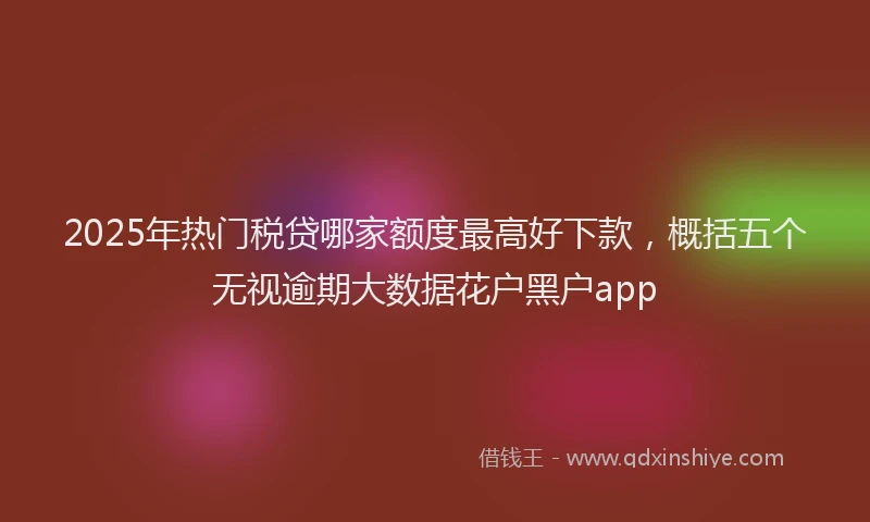 2025年热门税贷哪家额度最高好下款，概括五个无视逾期大数据花户黑户app