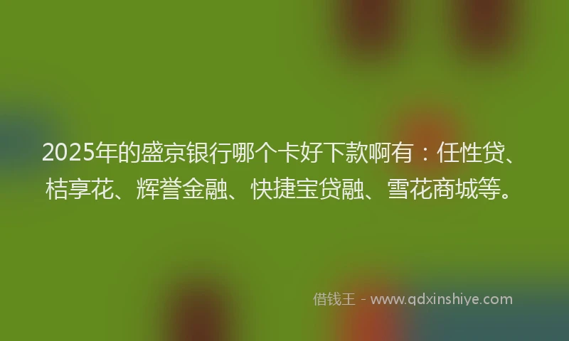 2025年的盛京银行哪个卡好下款啊有：任性贷、桔享花、辉誉金融、快捷宝贷融、雪花商城等。