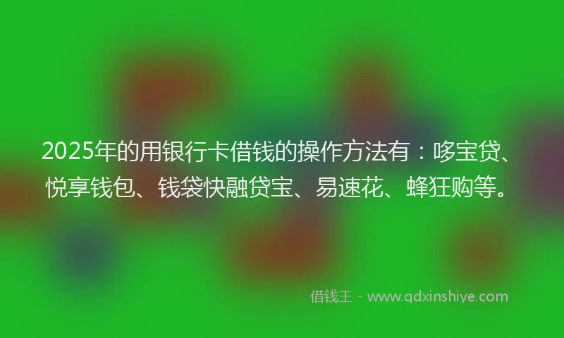 2025年的用银行卡借钱的操作方法有：哆宝贷、悦享钱包、钱袋快融贷宝、易速花、蜂狂购等。