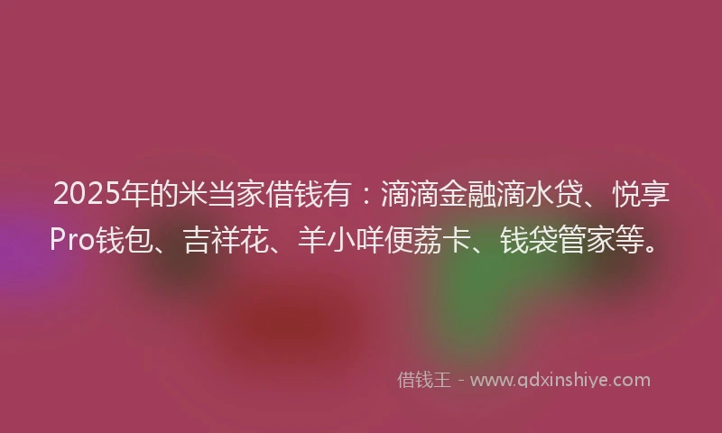 2025年的米当家借钱有：滴滴金融滴水贷、悦享Pro钱包、吉祥花、羊小咩便荔卡、钱袋管家等。