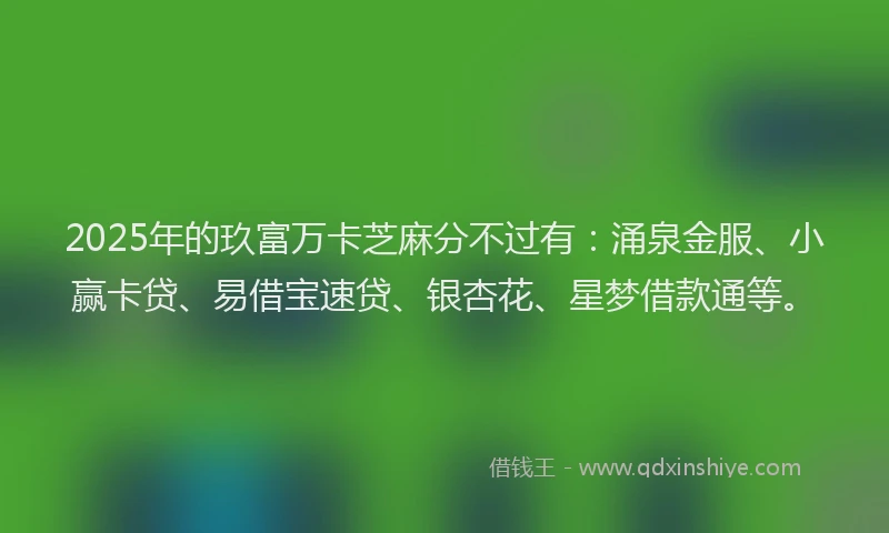 2025年的玖富万卡芝麻分不过有：涌泉金服、小赢卡贷、易借宝速贷、银杏花、星梦借款通等。