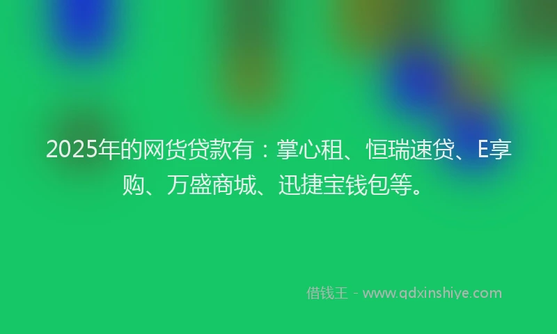 2025年的网货贷款有：掌心租、恒瑞速贷、E享购、万盛商城、迅捷宝钱包等。