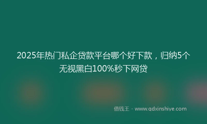 2025年热门私企贷款平台哪个好下款，归纳5个无视黑白100%秒下网贷
