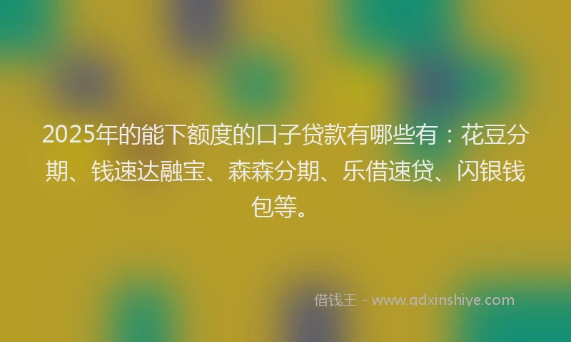 2025年的能下额度的口子贷款有哪些有：花豆分期、钱速达融宝、森森分期、乐借速贷、闪银钱包等。