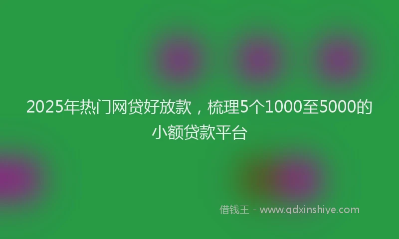 2025年热门网贷好放款，梳理5个1000至5000的小额贷款平台