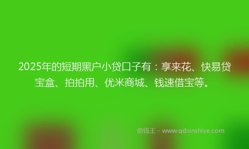 2025年的短期黑户小贷口子有：享来花、快易贷宝盒、拍拍用、优米商城、钱速借宝等。