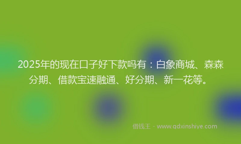 2025年的现在口子好下款吗有:白象商城、森森分期、借款宝速融通、好分期、新一花等。