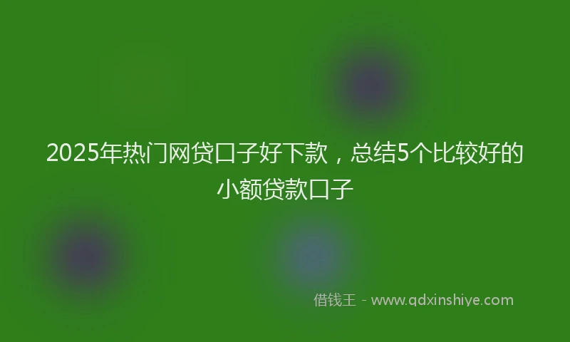 2025年热门网贷口子好下款,总结5个比较好的小额贷款口子